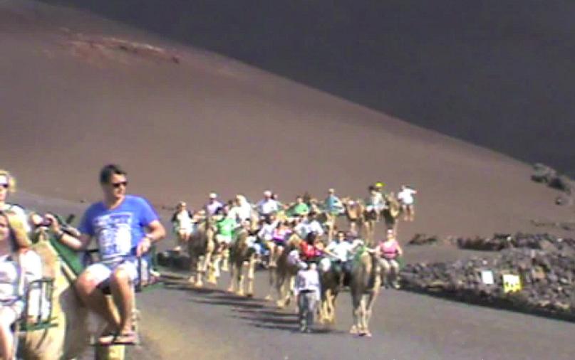 CAMEL SAFARI