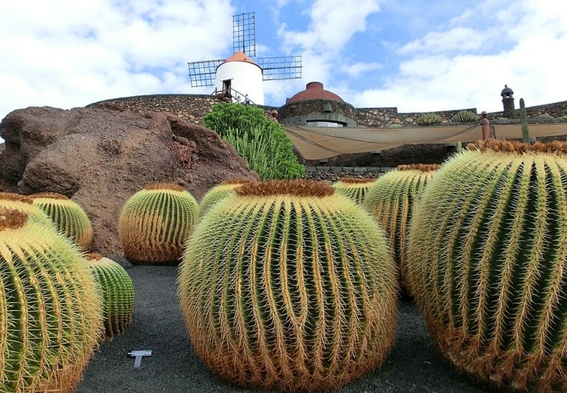 turismo sostenible en Lanzarote