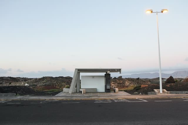 guaguas en lanzarote