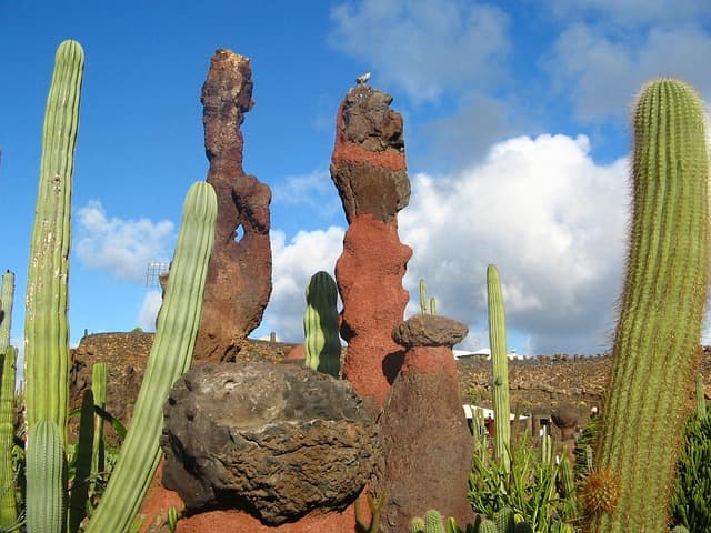 Weather in Lanzarote