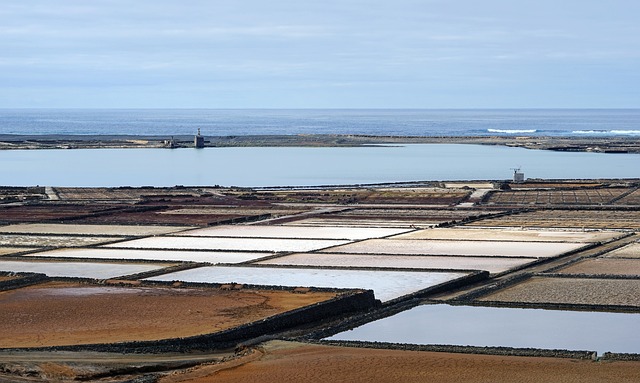 salinas del janubio