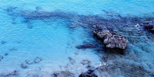 Caleton Blanco