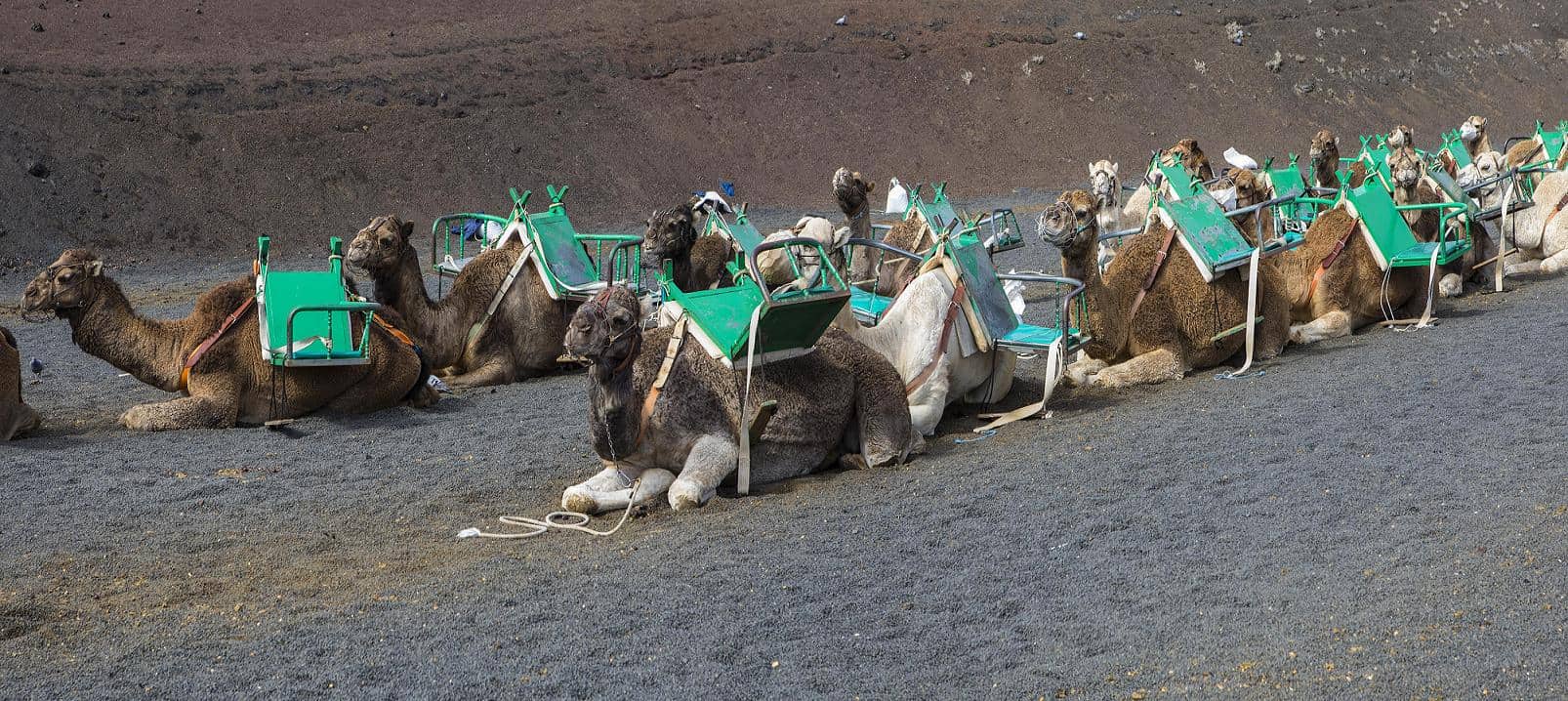 Timanfaya National Park