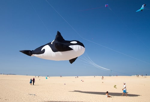 Fuerteventura