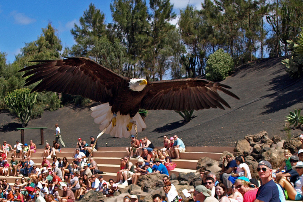 Rancho texas lanzarote
